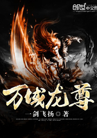 炎域领主龙尊