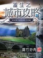 重生之城市之光小说