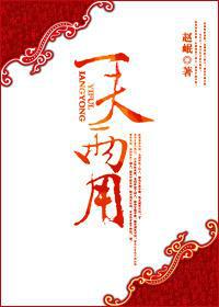 一夫两夫的夫怎么写
