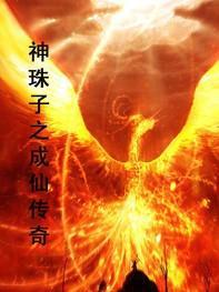 神珠传奇电影主人公
