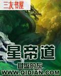 星帝道小说