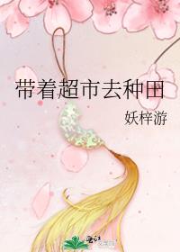 带着游戏去种田