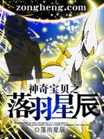 神奇宝贝之落羽星辰为什么不写了