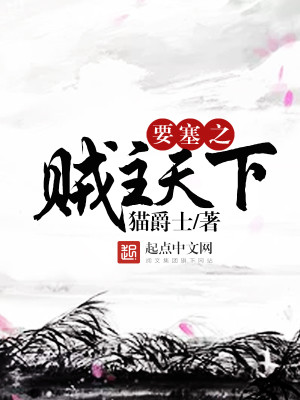 要塞2盗贼