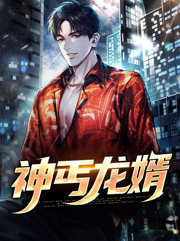 神龙傻婿