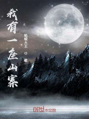 最强山贼系统简介