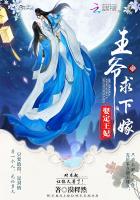 王爷强娶王妃的古言