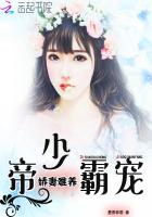 帝少宠妻霸道