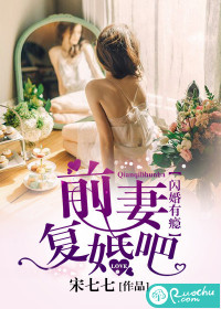 闪婚有瘾:前妻,复婚吧小说