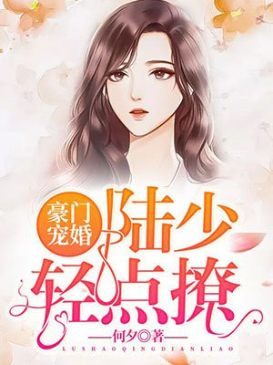 豪门陆少宠妻无度