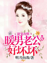 甜宠攻略:暖男老公好坏坏