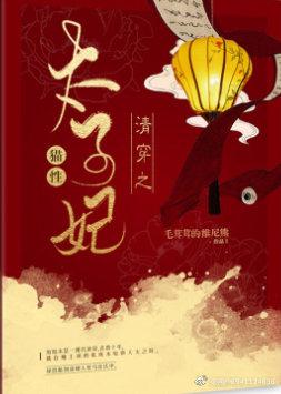 清穿之猫性太子妃28
