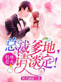 妈咪惹火:总裁爹地,请淡定!