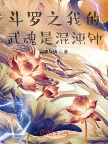 斗罗之我的武魂是混沌钟 小说