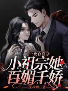 一夜有喜小祖宗她百媚千娇流苏烟