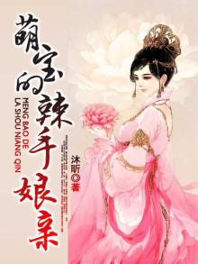 萌宝辣妈闯天下 小说