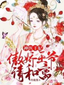 傲娇王爷:神医王妃要休夫 小说