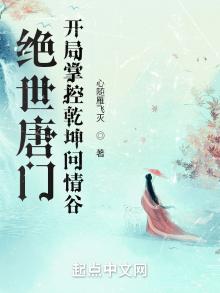 绝世唐门之乾坤 小说
