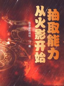 从火影开始抽取能力小说