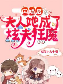 闪婚成了总裁夫人