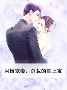 闪婚总裁宠妻太霸道