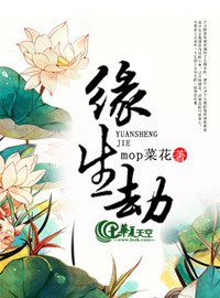 缘生劫灭
