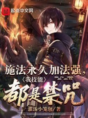 施法永久加法强,我技能都是禁咒笔趣阁