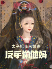 太子被抢的小说