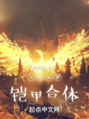 人在斗罗,铠甲合体小说