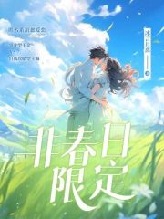 春日限定礼盒叫什么