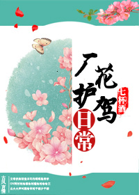 厂花护驾日常读后感