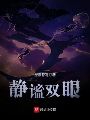 静谧双眼TXT下载