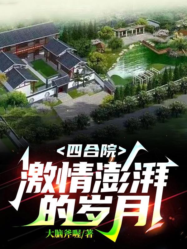 四合院激情澎湃的岁月小说又叫什么名