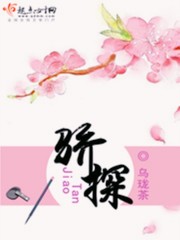 骄探 小说TxT