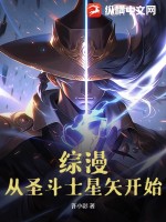 综漫从圣斗士星矢开始的小说免费
