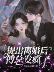 离婚吧傅先生