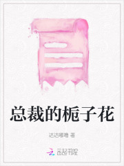 总裁的挚爱全文阅读