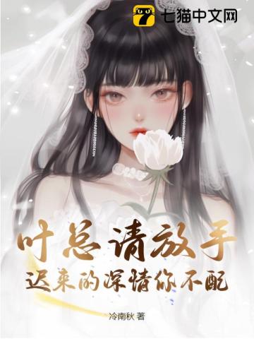 叶总请放手迟来的深情你不配小说