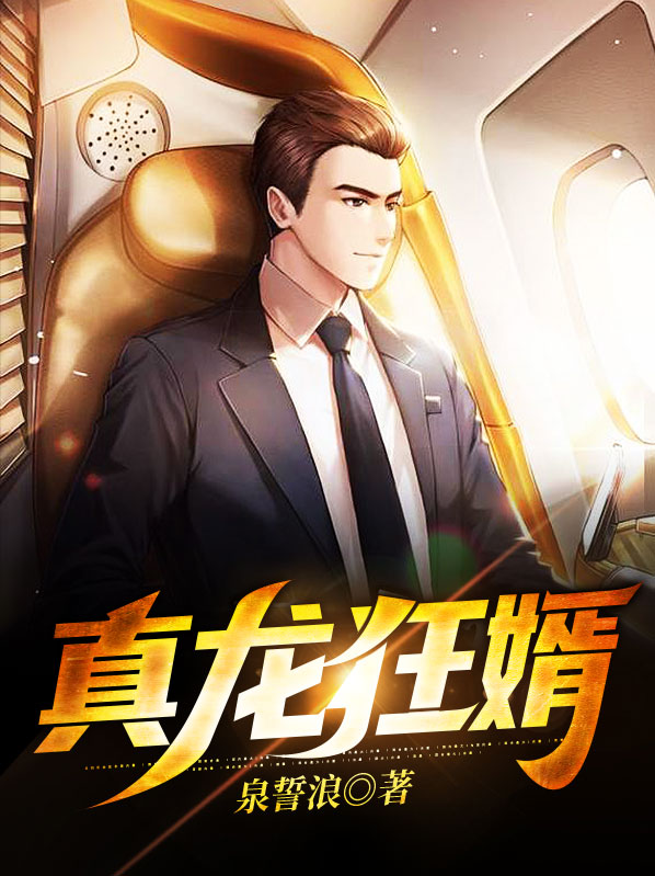 真龙狂婿有声小说