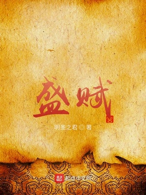 盛赋小说免费阅读