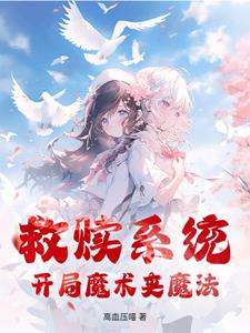 救赎系统 小说