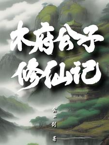 木府小说