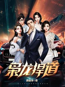枭龙的战绩