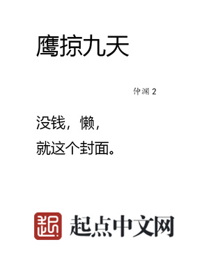 鹰掠九天类似的空军小说