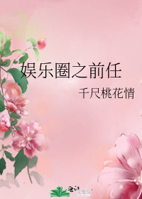 娱乐圈之前任