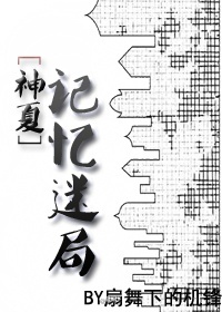 [神夏]记忆迷局