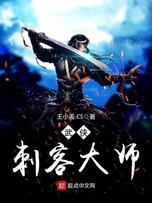 综武侠一品刺客