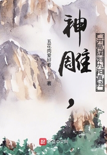 我在神雕学九阳神功