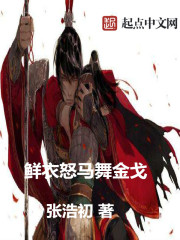 金戈纪