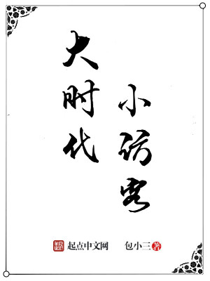 大时代小访客